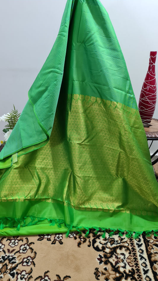 Irish Green Kanchipuram Silk Saree