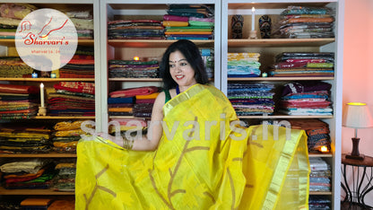 Bumblebee Yellow Matka Muslin Saree with Jamdani Woven Patterns