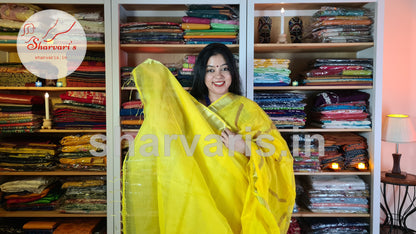 Bumblebee Yellow Matka Muslin Saree with Jamdani Woven Patterns