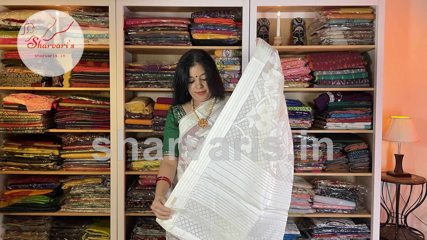 Off-white Exclusive Chiffon Organza Brasso Saree