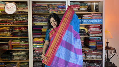 Blue and Pink Ilkal Silk Cotton Saree with Temple Borders