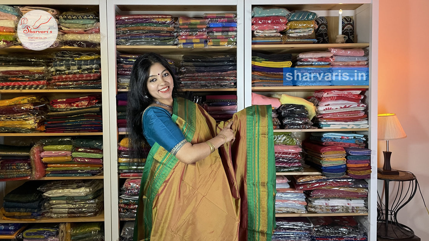 Golden Mustard and Green Dual Tone Ilkal Silk Cotton Saree with Temple Borders