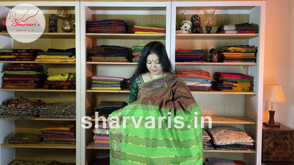 Russet Brown and Pista Green Tripura Silk Cotton Saree with Pochampally Borders