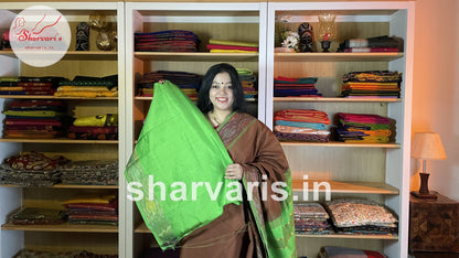 Russet Brown and Pista Green Tripura Silk Cotton Saree with Pochampally Borders