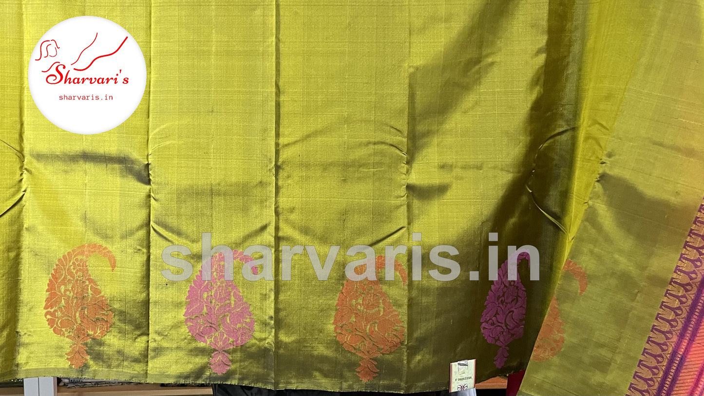 Pear Green Kanchipuram Silk Saree with Thread Work Motifs